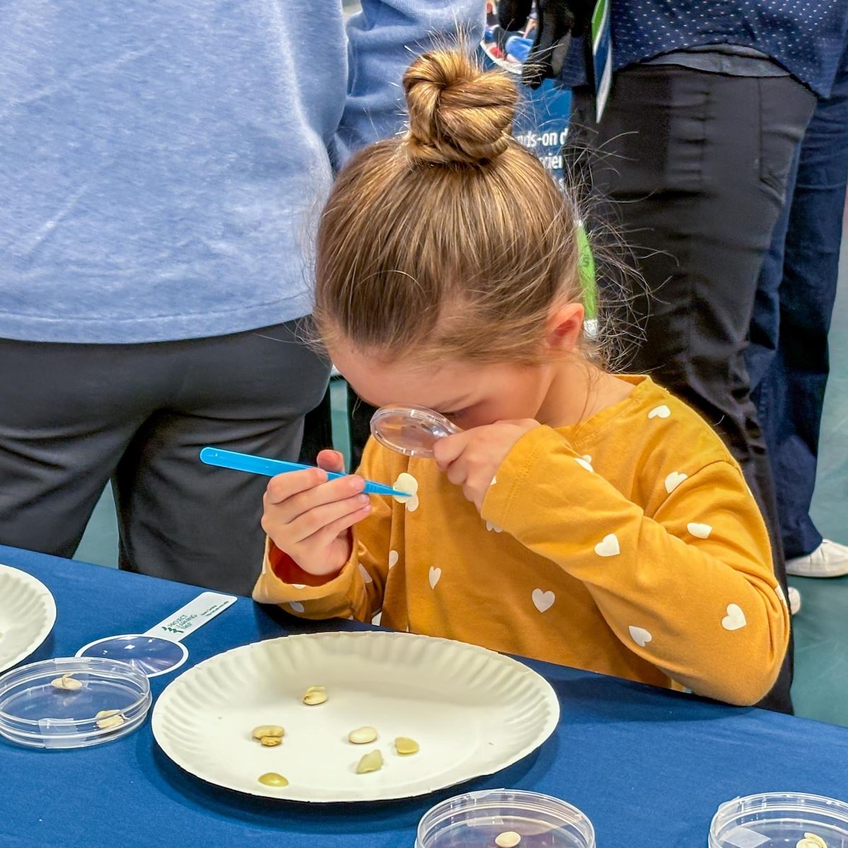  A young student examines seeds with a magnifying glass